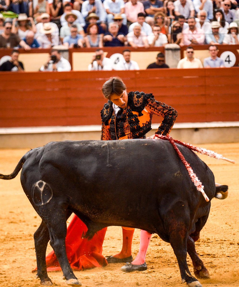 1️⃣| Roca Rey marra con el acero una faena de dos orejas

Faena grande a un toro al que inició de forma explosiva y al que toreó con suavidad por ambos pitones

En el final el toro se rajó y el fallo con el acero quitó la opción de triunfo