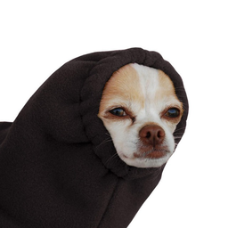 wagmie_bot's tweet photo. New Token Launched CHIHUAHUA WIF HOODIE (CHICHI) on Linea 🚀

  Chihuahua wif hoodie.

  Trade now at https://t.co/BHYPlRCtkn https://t.co/Yk34SwPfWj