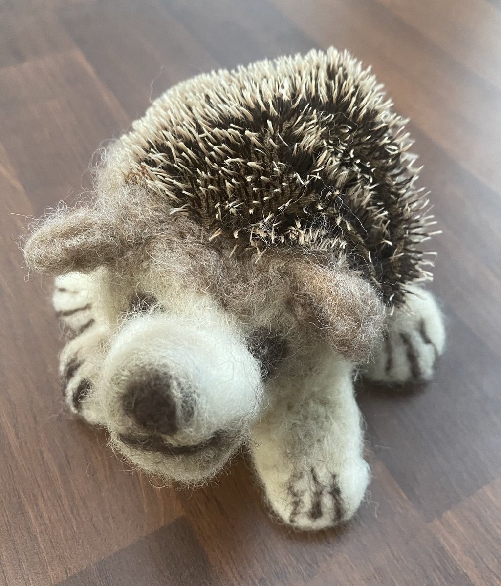 Lily’s Art and Pet Portraits 🎨🖼✍️❤️ tweet media