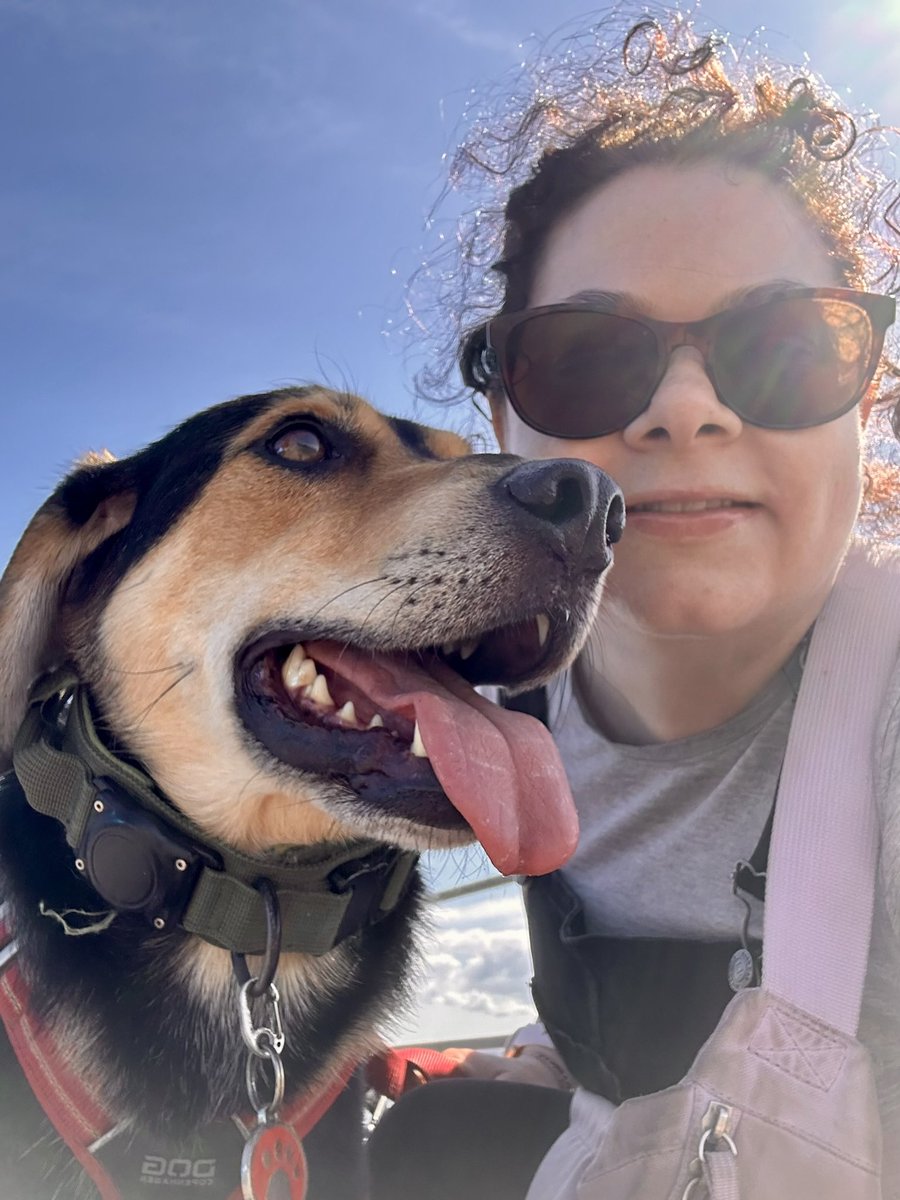Heather_CCN's tweet photo. 1278.7 kms = 794.5 ytd #NHS1000miles walked with my boys. π Not posted recently due to personal reasons and been busy getting ready to move house. Some of our holiday pics. π Hope everyone is well βΊοΈ #RescueDog #ActiveAugust #nature #sundayvibes https://t.co/MWdV31QR4z