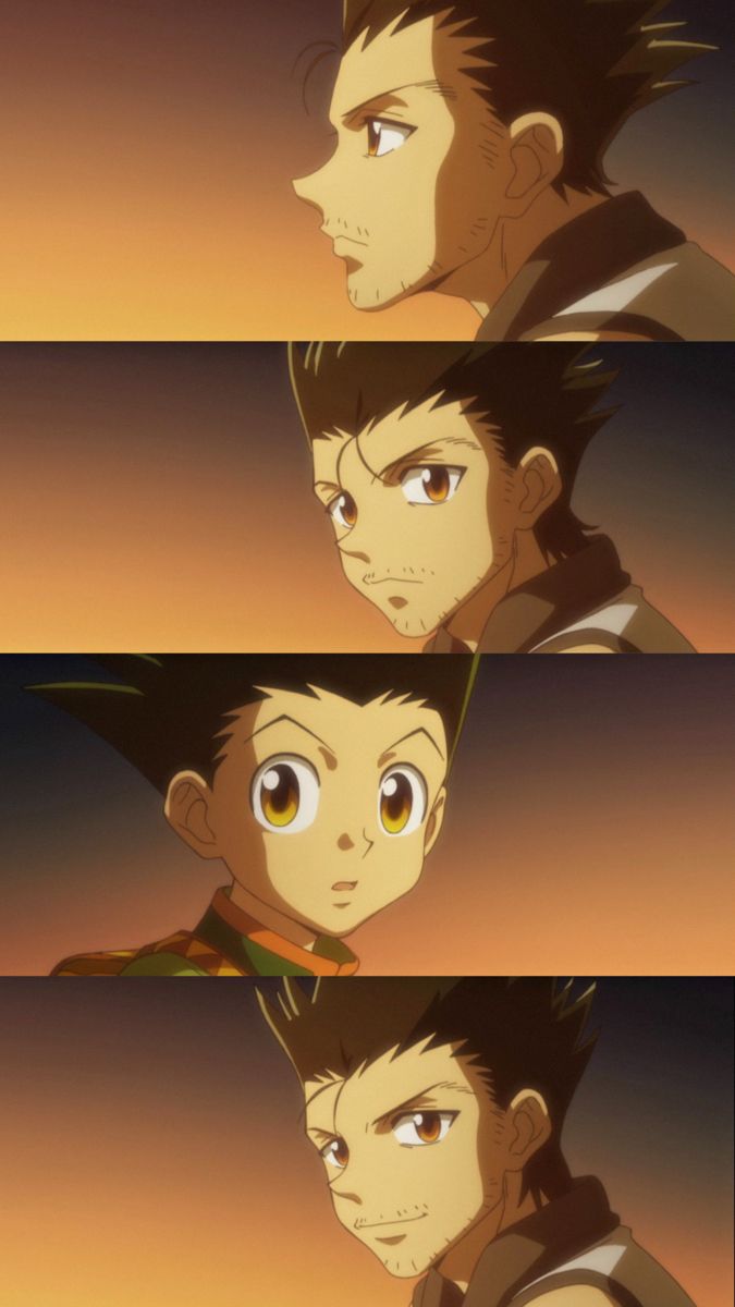 Hunter x Hunter Vibes (@vibinghxh) on Twitter photo 