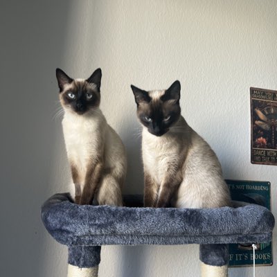 ChadWiley21's tweet photo. #NewProfilePic https://t.co/7M5h0ca6SX