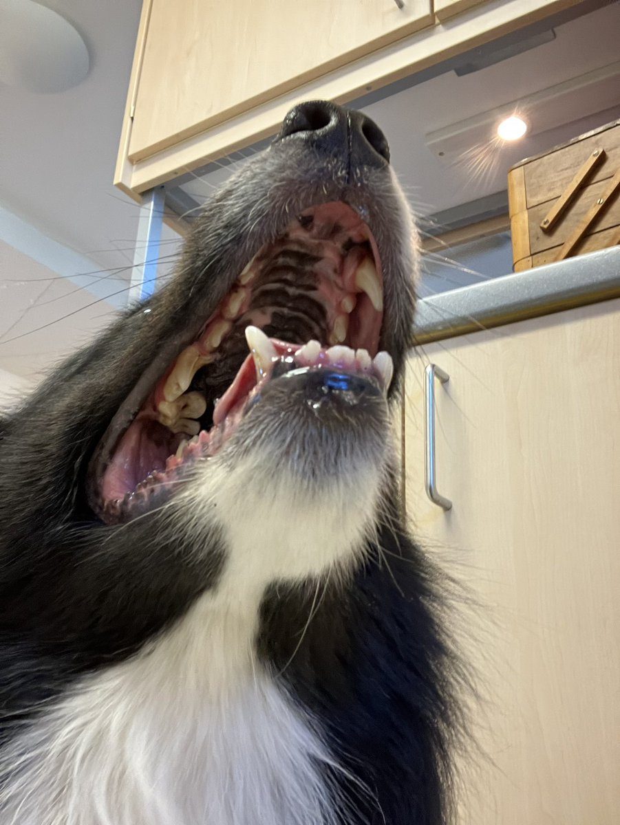 CarbonCopia⚰️ tweet media