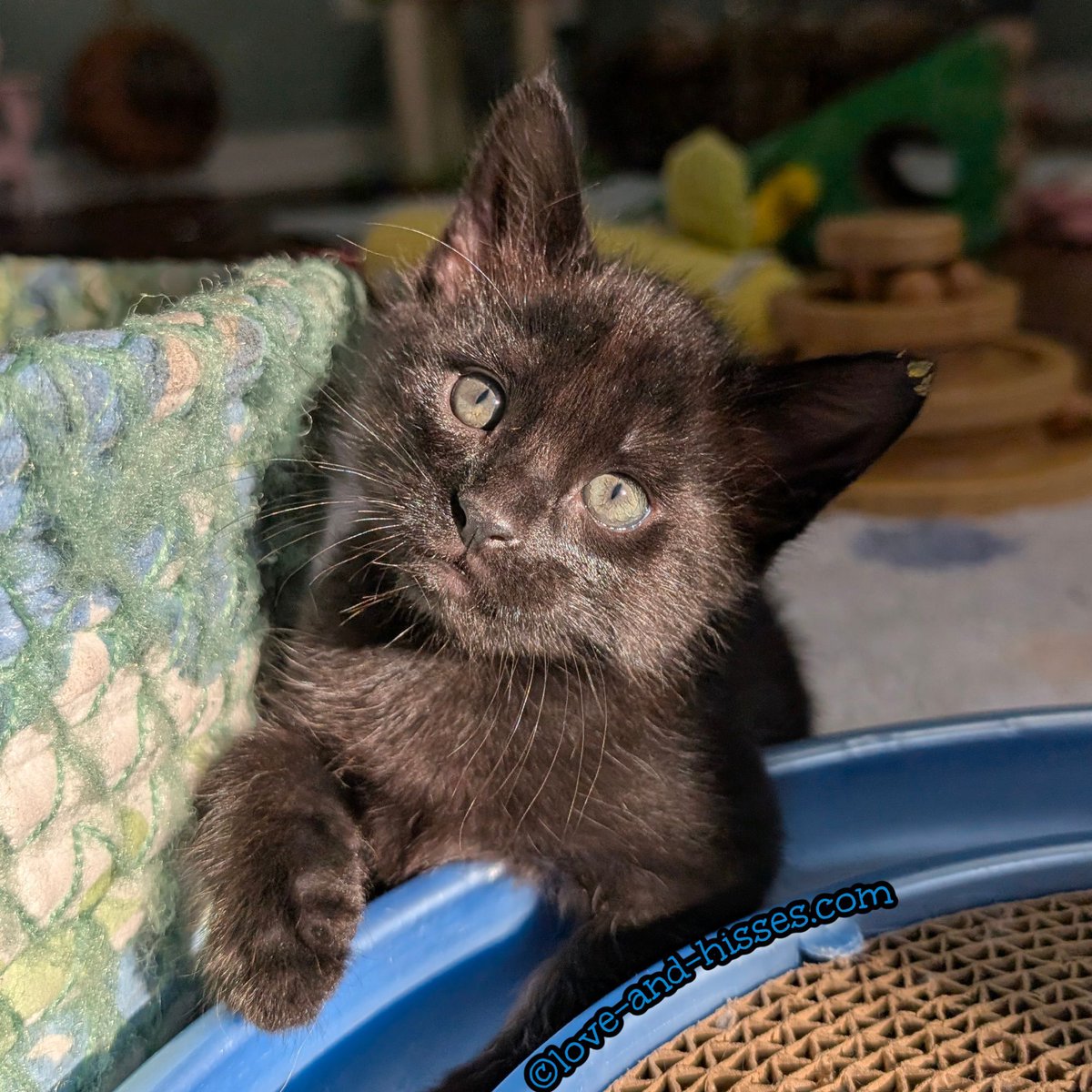 Owen in the sun, looking SO grown up. The blue eyes are gone!