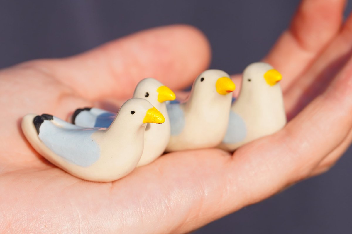 Ella Benninghaus tweet media