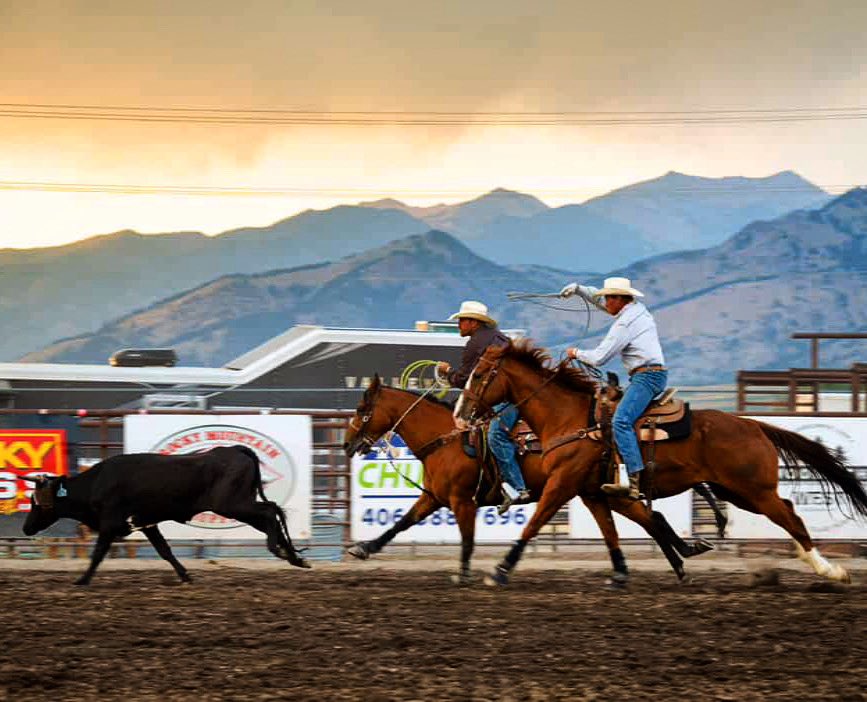 Jeremy_Rich12's tweet image. Incredible shot from last Thursday at Valley View Rodeo in Bozeman!🤠🙌🏻

#teamroping #header #rodeo #montana #valleyviewrodeo