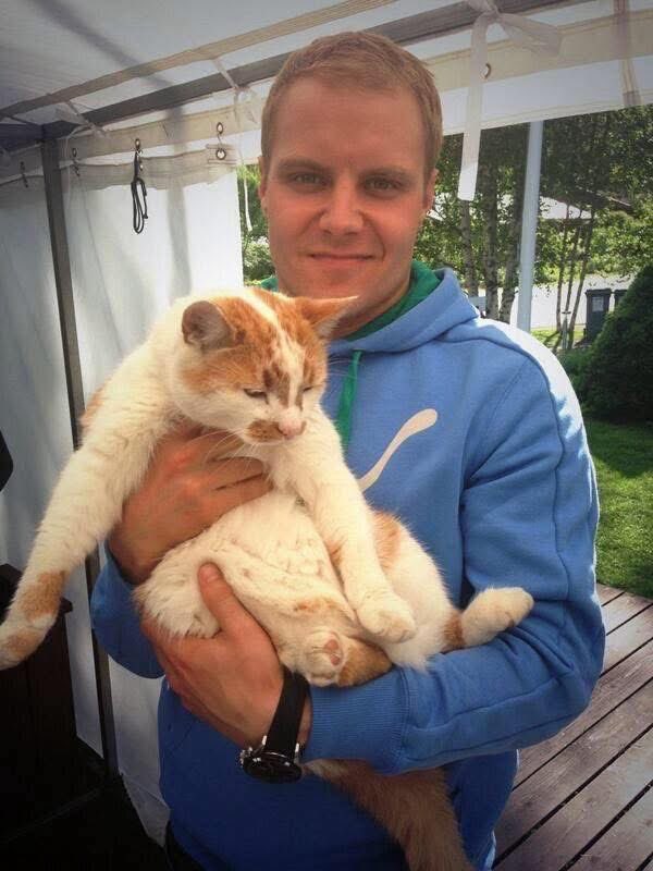 El gato con Bottas