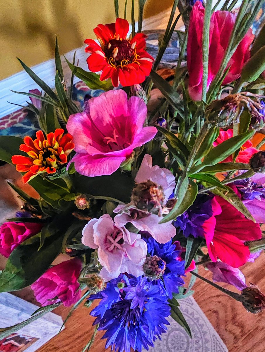 Pick your own wild flowers at Strawberry Fields, reminded me of being a little girl with my grandma (back in the days when you were allowed to pick wild flowers) #wildflowers #pickyourown 💐 #memories