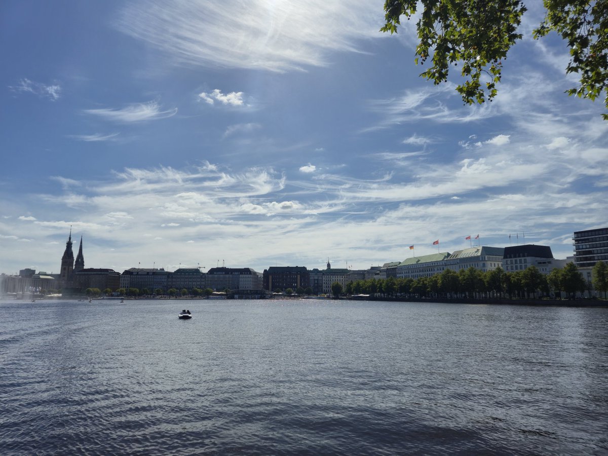 TheGreenPuzzles tweet media