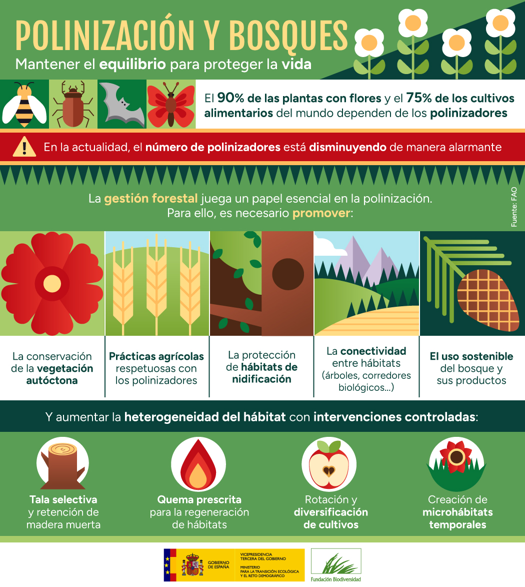 🐝 Los polinizadores sostienen la vida en el planeta 🌍

Pero su futuro está amenazado por:

🏞️ Pérdida de hábitat
☠️ Pesticidas
🌡️ Cambio climático

Sin polinizadores no hay polinización. Y sin polinización, los ecosistemas colapsan.