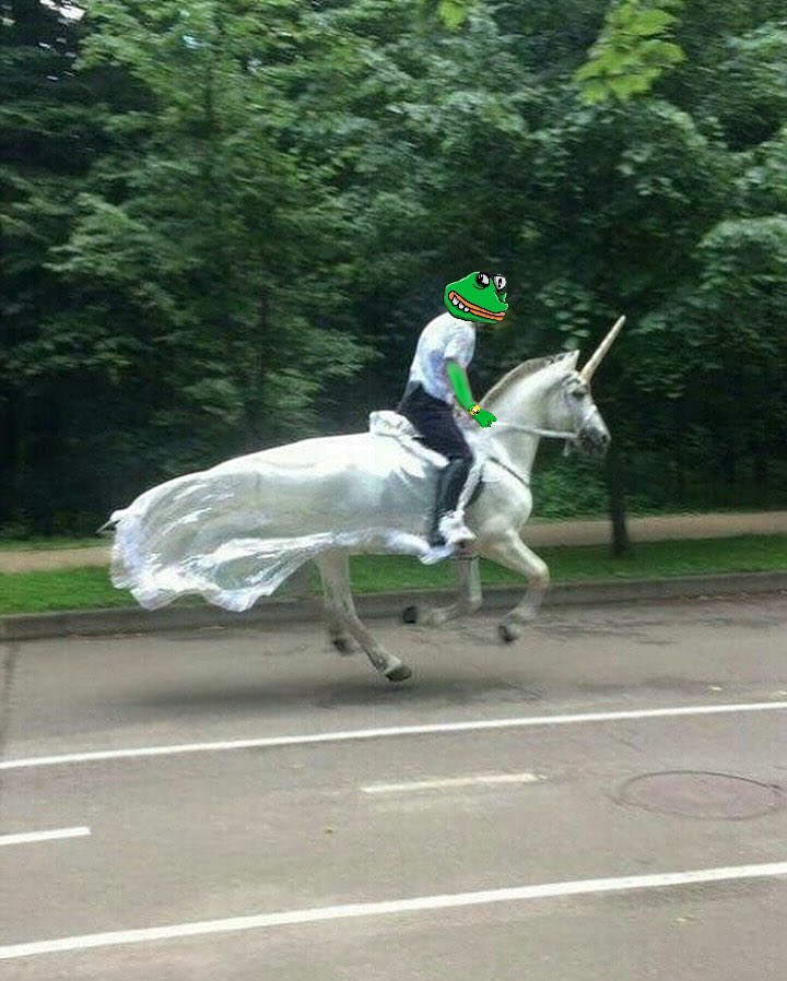 Few understand that $okayeg is shaping into a currency-exchange unicorn. History rewards those who see it first. 🦄🥚🐸

$okayeg