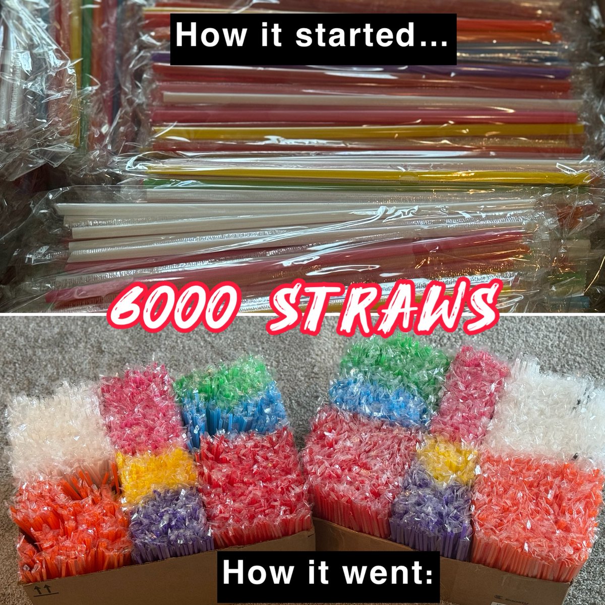 How it started: a chaotic pile of 6,000 straws

How it’s going: neatly color-sorted boxes 🎨

A “small” #STEM classroom management win—less time rummaging, more time creating, testing, improving, and sharing! 

In a 50-min class, every minute counts!