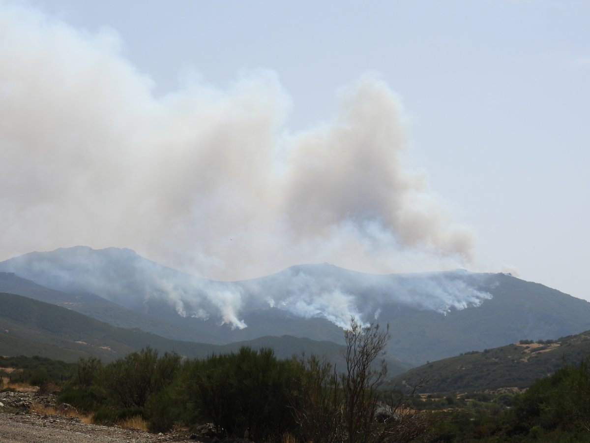 Ha sido muy triste presenciar día tras día cómo se quemaba una zona de la Montaña Palentina muy especial. Un fuego insaciable ha ido devorando zonas de un valor incalculable y hemos asistido impotentes a un incendio interminable.
Es una zona que conocemos y duele doblemente ⬇️