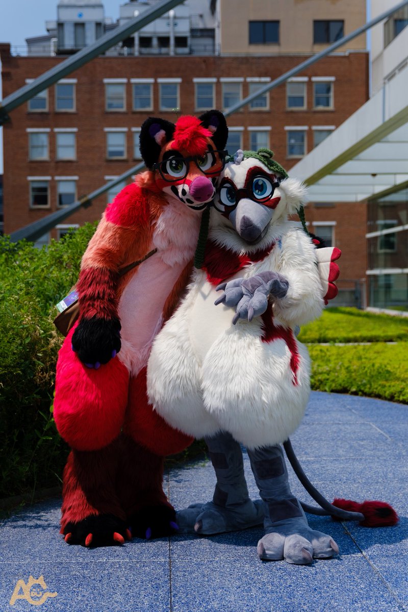 Alias ⋆。°✩ AnthrOhio tweet media