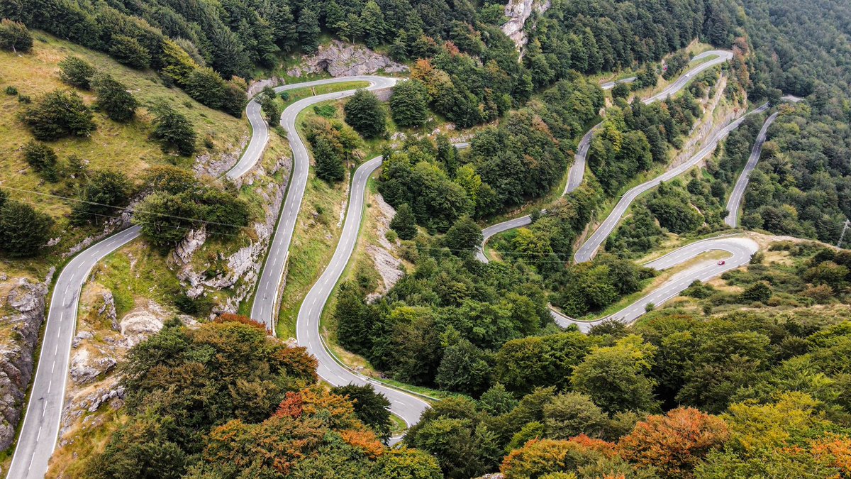 URBASA txori bistatik! 🦅🌳🍂