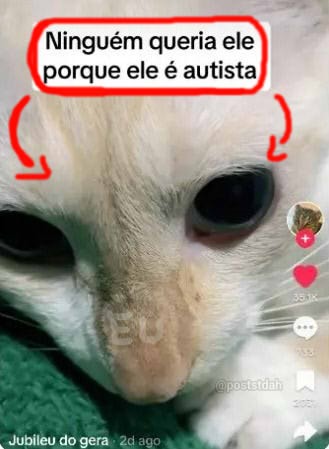 poststdah's tweet image. 