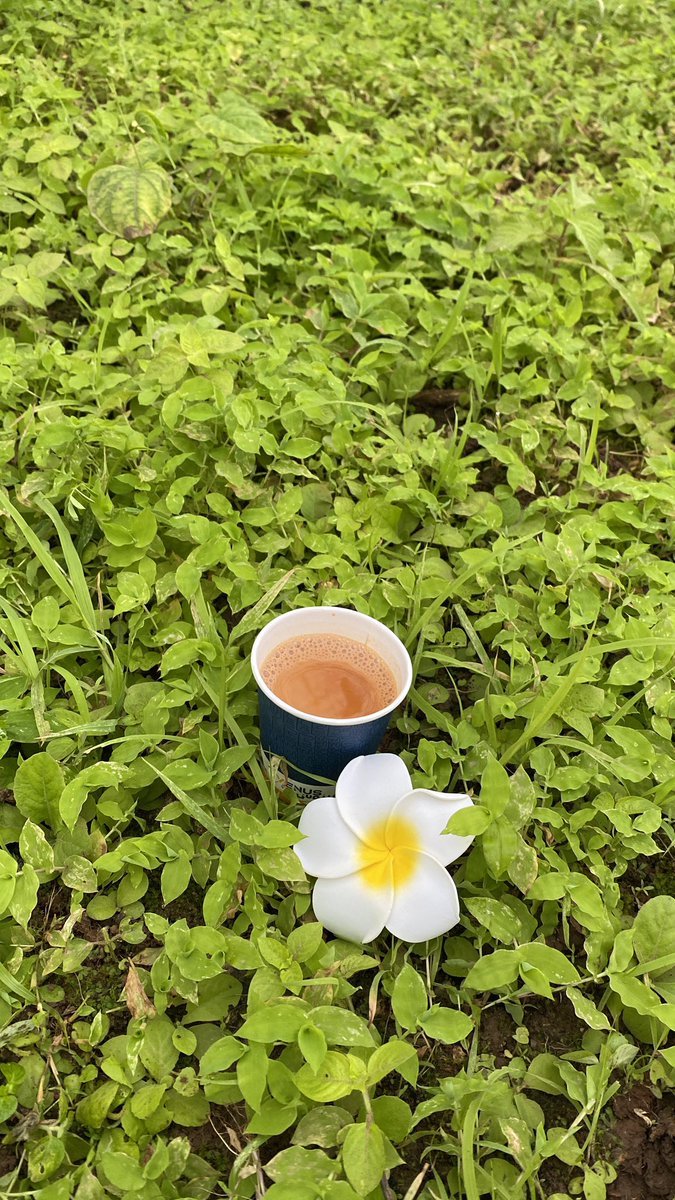 _farahbaluch's tweet photo. Lost in the beauty of salalah!

#salalah #صلالة https://t.co/mXUkC2edGY