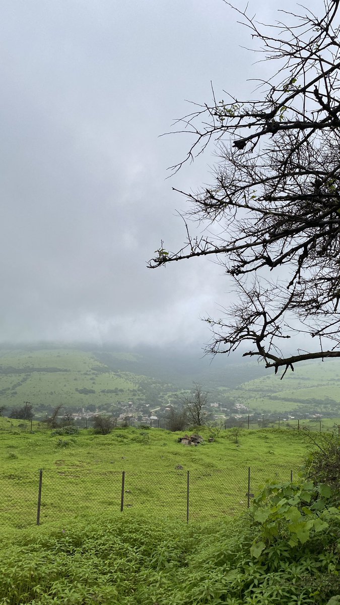 _farahbaluch's tweet photo. Lost in the beauty of salalah!

#salalah #صلالة https://t.co/mXUkC2edGY