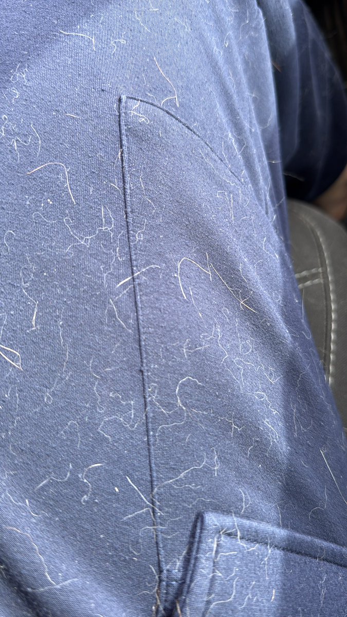 Katia H Clouse tweet media