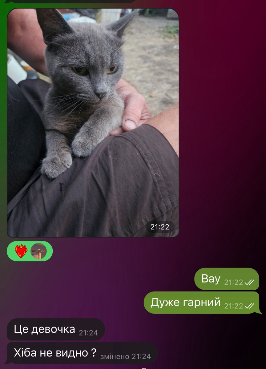тато кидає кітів 
Шо скажете, видно?