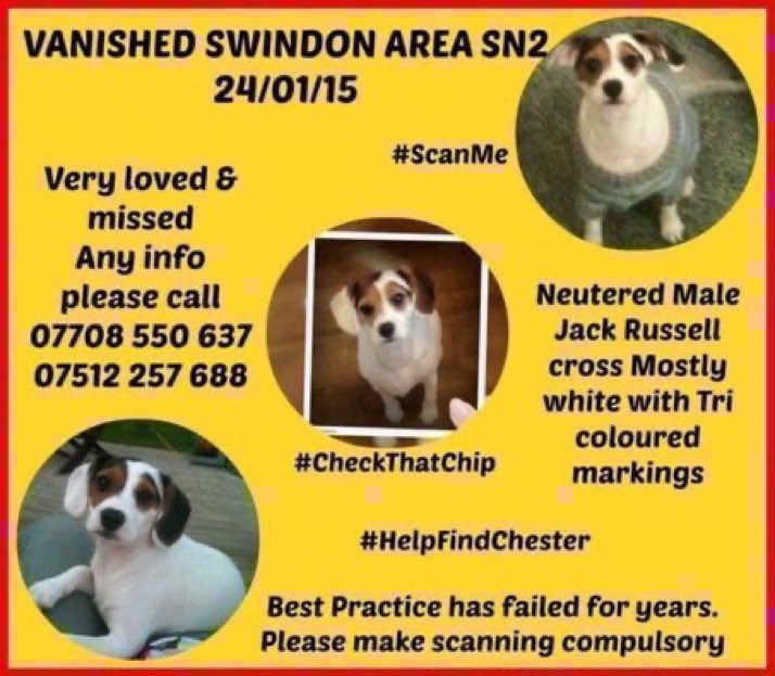 LisaClareRead2's tweet photo. Over 10 years Chester has been missing 😢 Do you know where he is? Please help find this lovely little lad and get him home where he belongs. Thank you 🙏💕🐾🐶 #HelpFindChester #missingdog #Swindon #SN2 #Wiltshire #Stolendoghour https://t.co/8e9tUA62i6