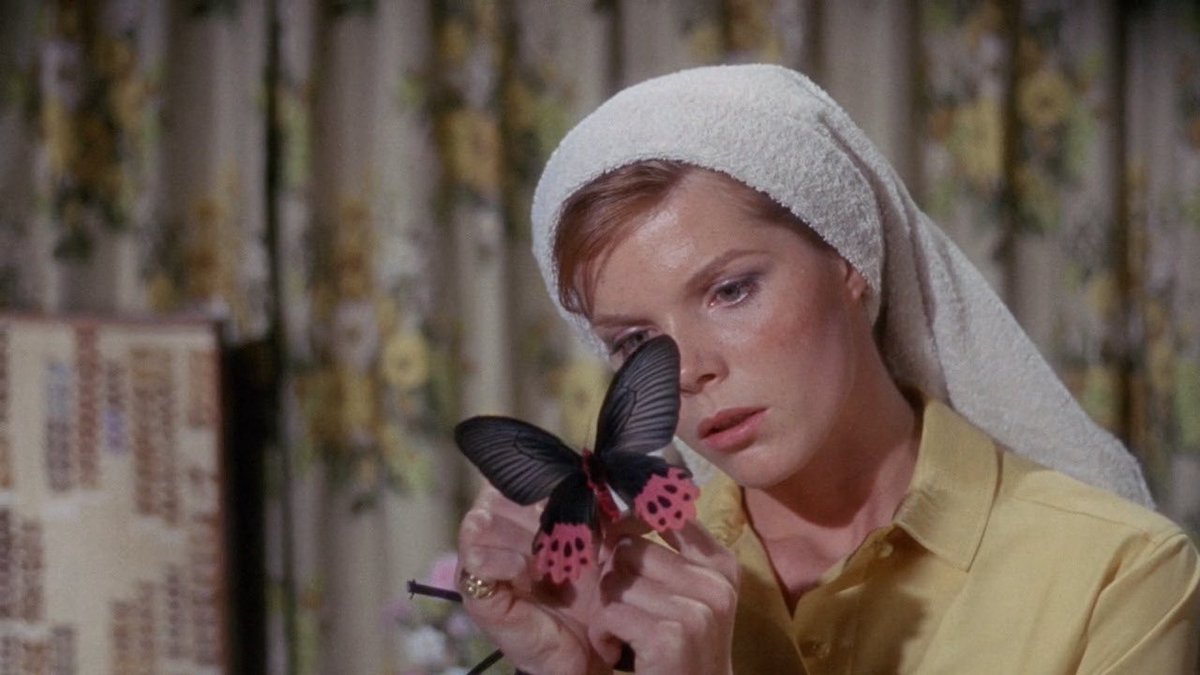 RIP terence stamp ❤️

the collector (1965)