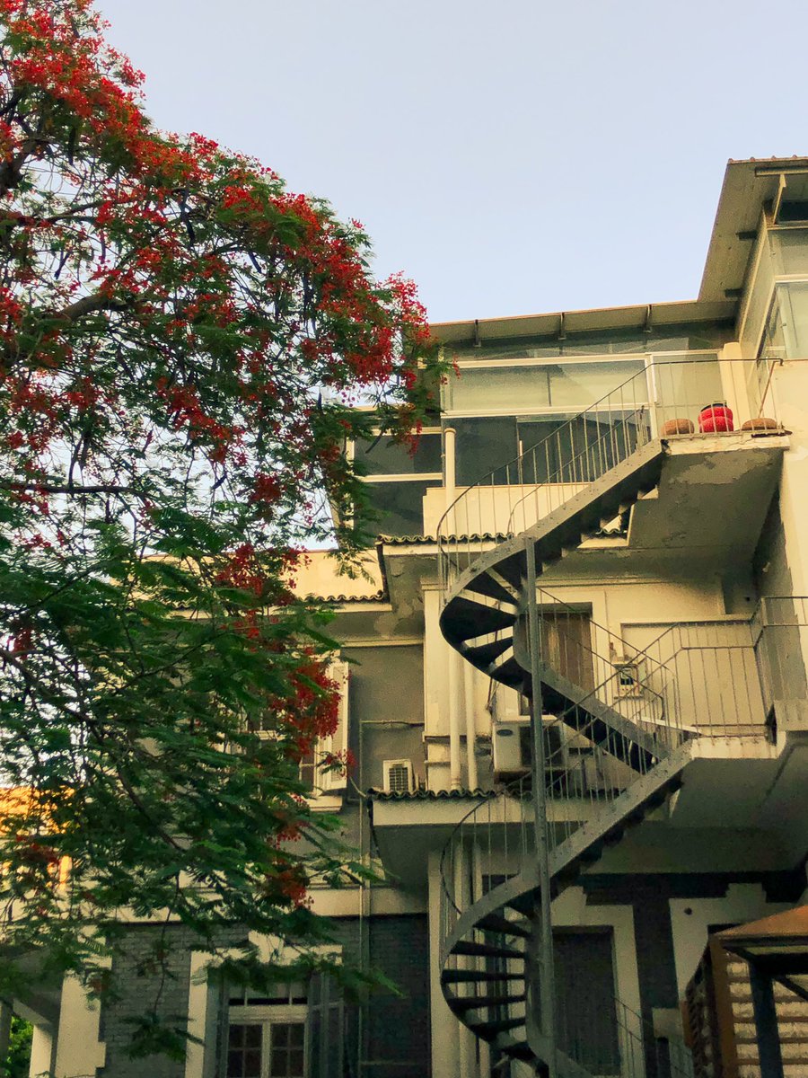 اتش (@hahmed588) on Twitter photo 