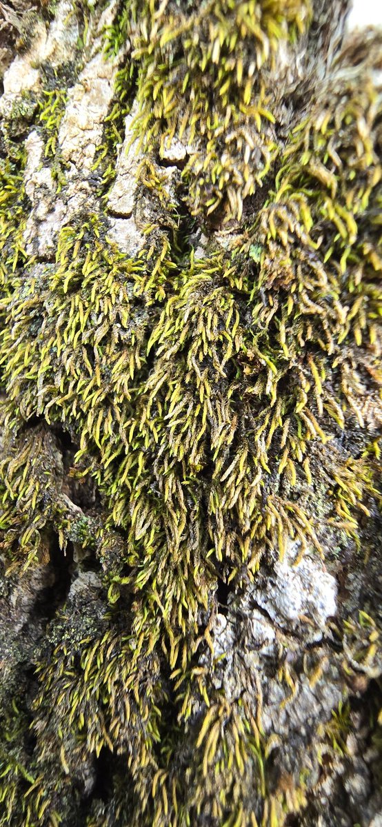 Jamie warren tweet media