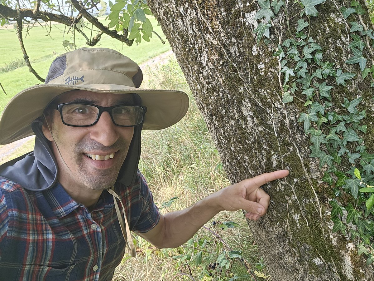 Jamie warren tweet media