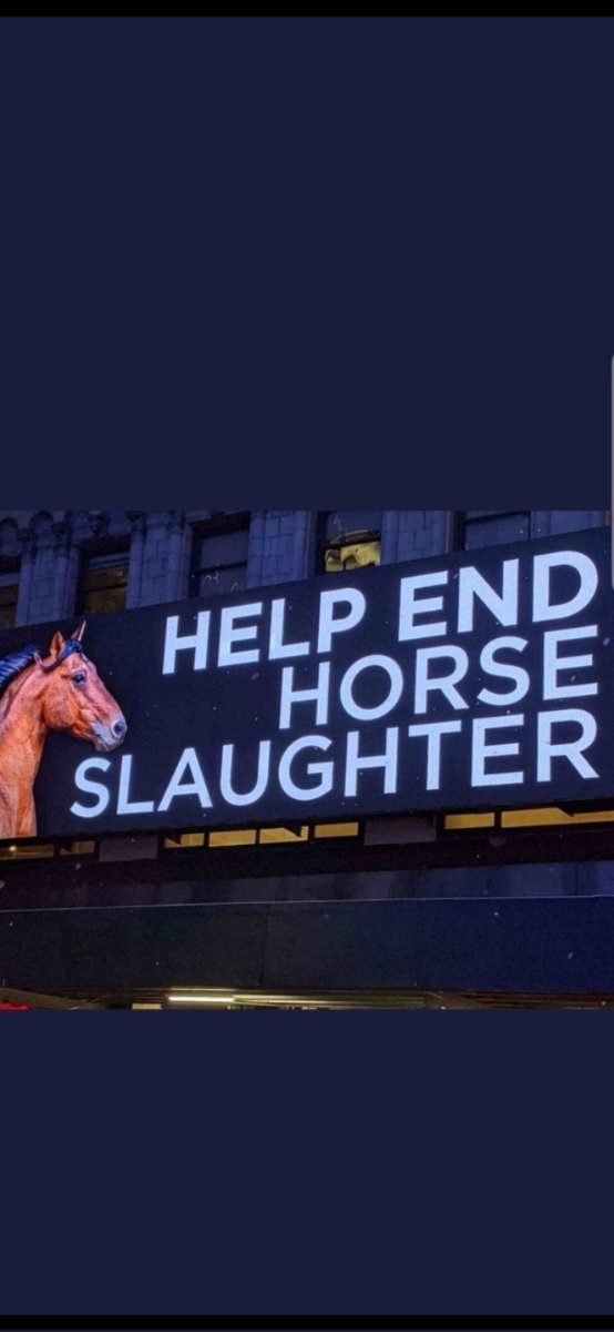 .
CaLL☎️Your #POLITICANs                      
(202) 224-3121 

TeLL em✍️#SIGN the Anti-#HORSE🐴Slaughter  "#SafeACT" bill 

Also #CICK this 
LINK--&gt;👇To SEND E-Mail
.
. chng.it/GXmqqSVc8j
.
.