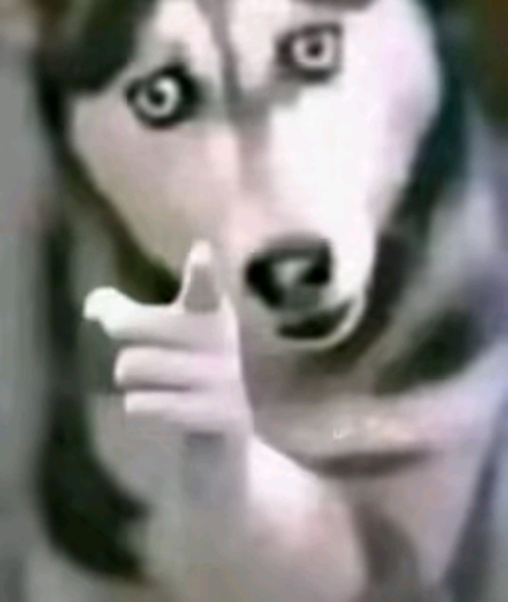 Stanichu tweet media