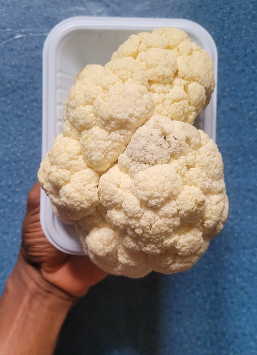 Daniel Regha tweet media