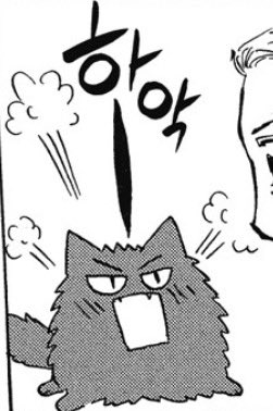 80세 마리코에 나오는 고양이 바시냥닮음