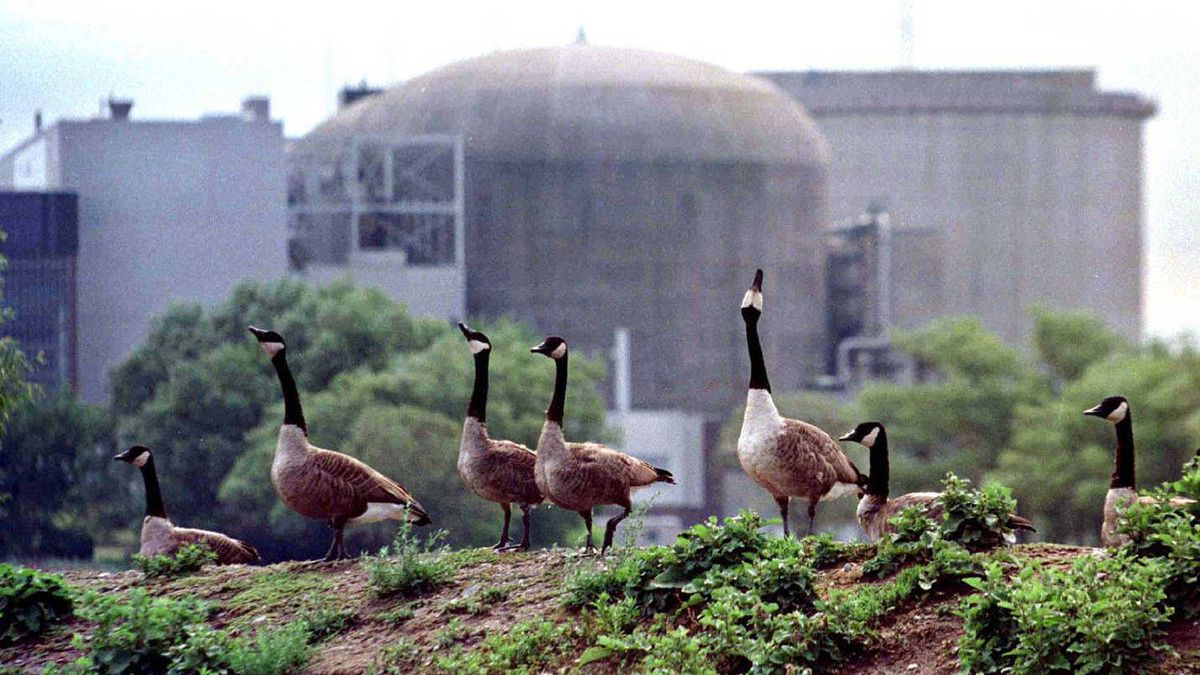 Canadians of all strips support the refurbishment of Pickering Units 5-8 to help power our clean energy future.

Reliable 24/7/365 energy.

#Pickering2075 #CANDU 🍁 #NuclearEnergy 🇨🇦