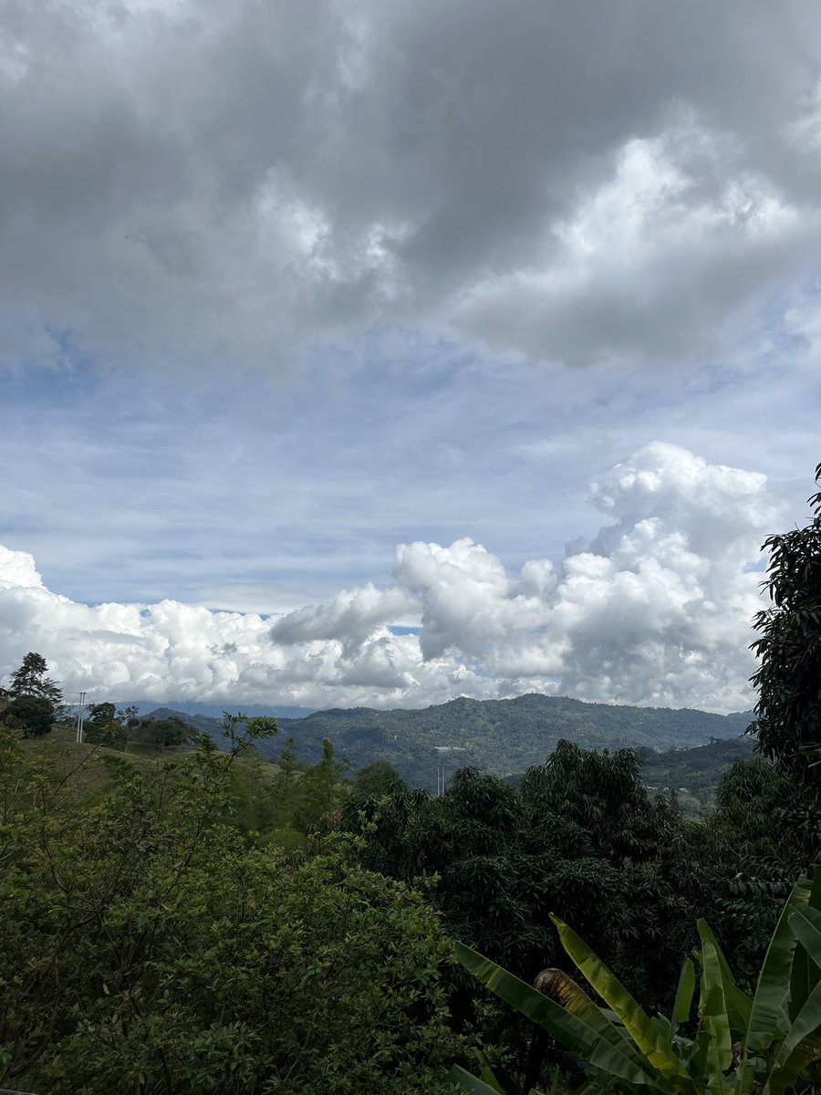 ʟᴜᴋᴏ tweet media