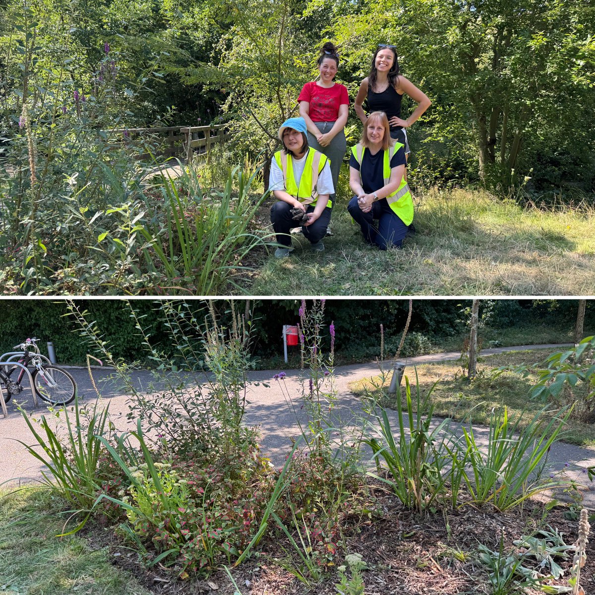 Friends of Festival Gardens tweet media