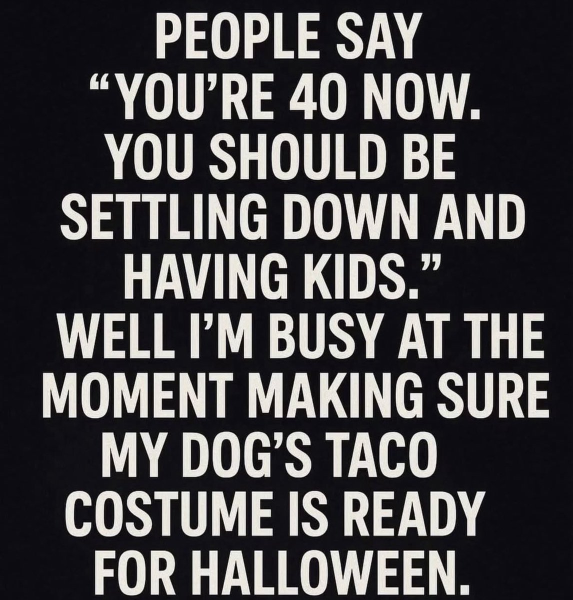 Laura Corey tweet media