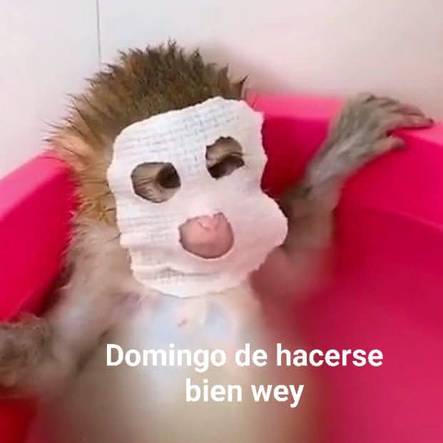 En Júpiter tweet media