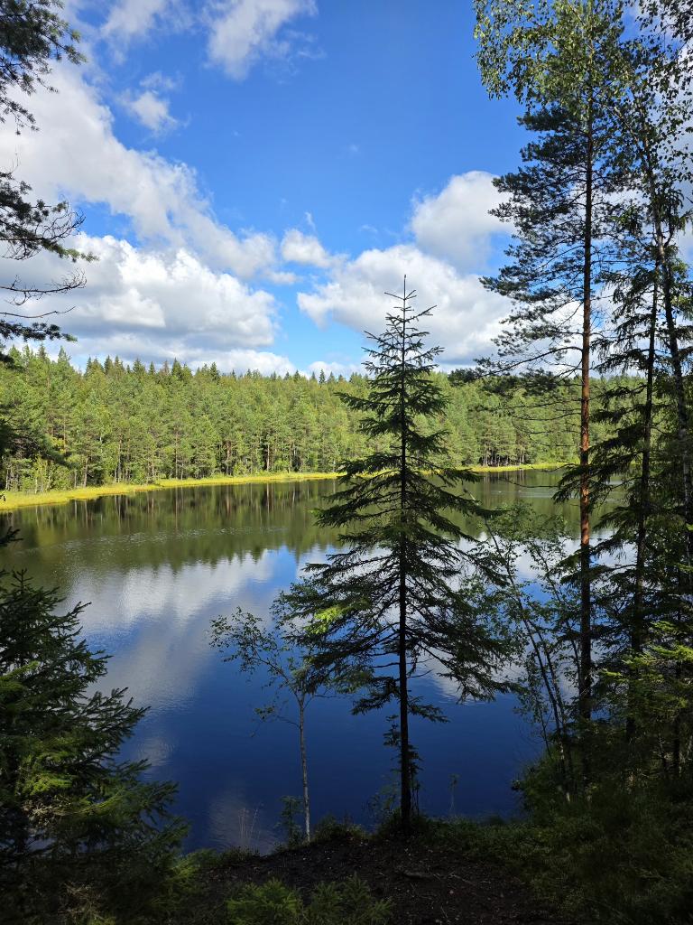 Tänään oli vielä kesäpäivä. 🤍