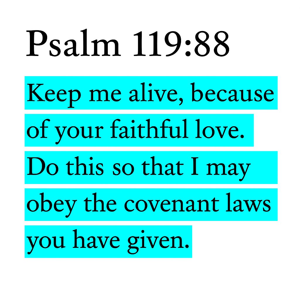 Holy Bible (@biblewisdom) on Twitter photo 