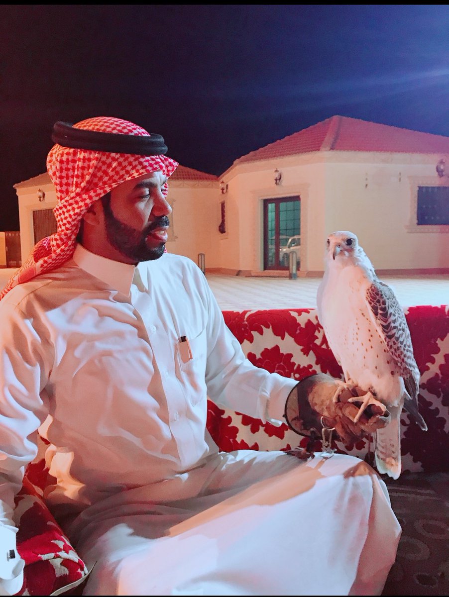 متعب النصار tweet media