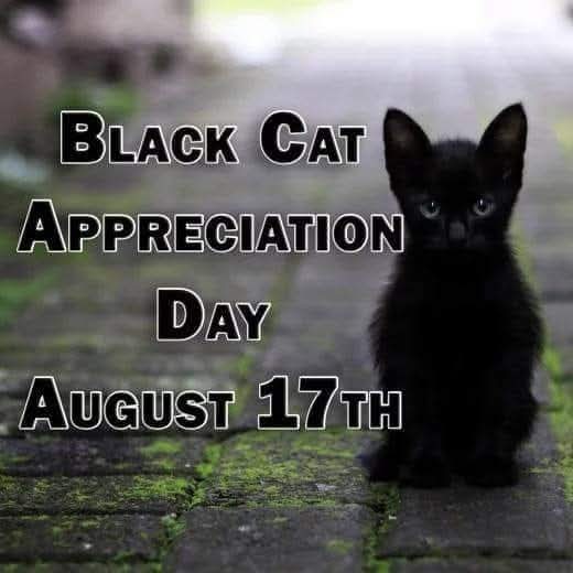 max_audition's tweet image. 