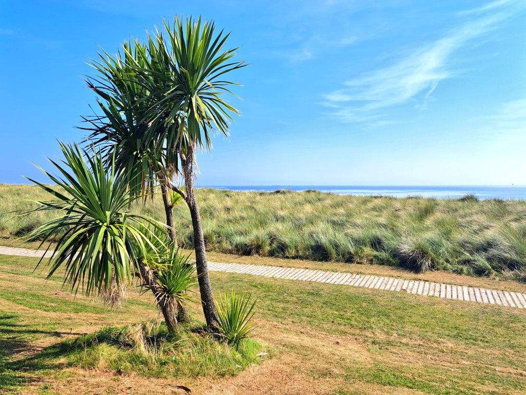 Karen Douglas tweet media