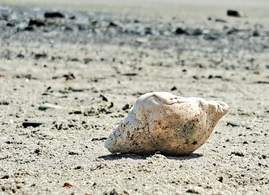 Karen Douglas tweet media