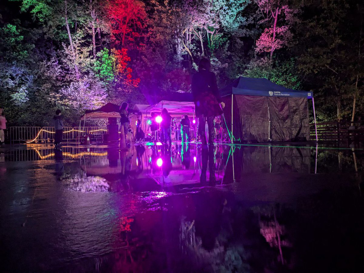 Dogs at the function!