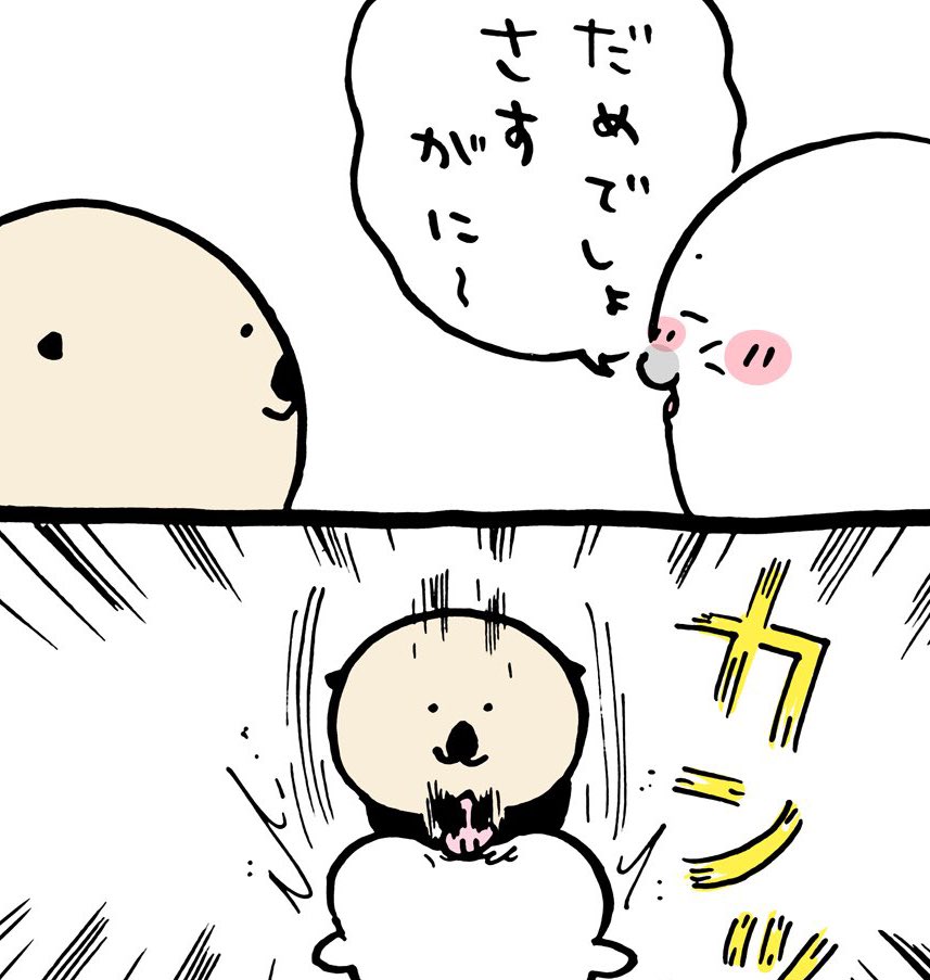 KeithSucculent's tweet photo. @jednact この子はまじやべ。。。 https://t.co/31lbqEODDl