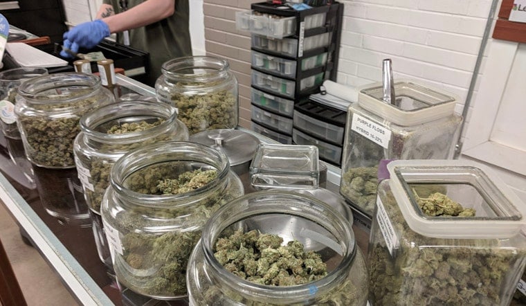 New York Cannabis Dispensaries Sue State Over Sudden Change in School Proximity Regulation

In New York, the Office of Cannabis Management's recent reinterpretation of a school-proximity regulation has catalyzed a legal battle with twelve cannabis dispensaries filing a lawsuit