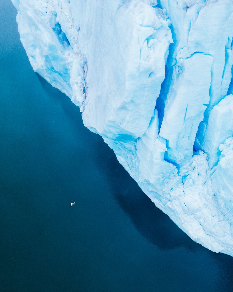 Paul Boomsma tweet media