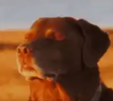 Getting asked to draw MatJo bdsm by strangers online