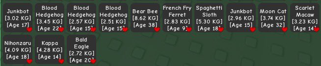 Fayezoora's tweet image. Looking for a raccoon, nft for sheckles! #growagardenroblox #growagardentrade #roblox #robloxtrade #trade